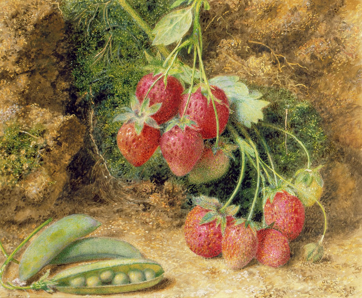 Aardbeien en Erwten door John Sherrin