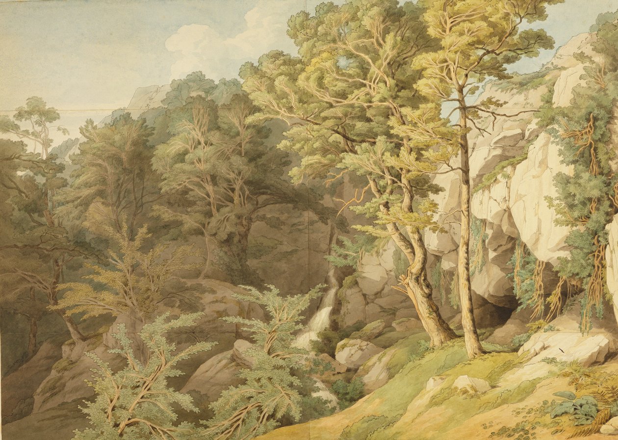 Canonteign, Devon, 1804 door John White Abbott