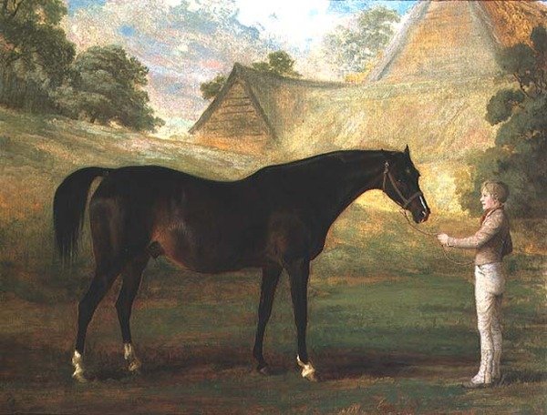 Vingerhoedskruid, een Volbloed Bruin Paard door John (attr. to) Boultbee