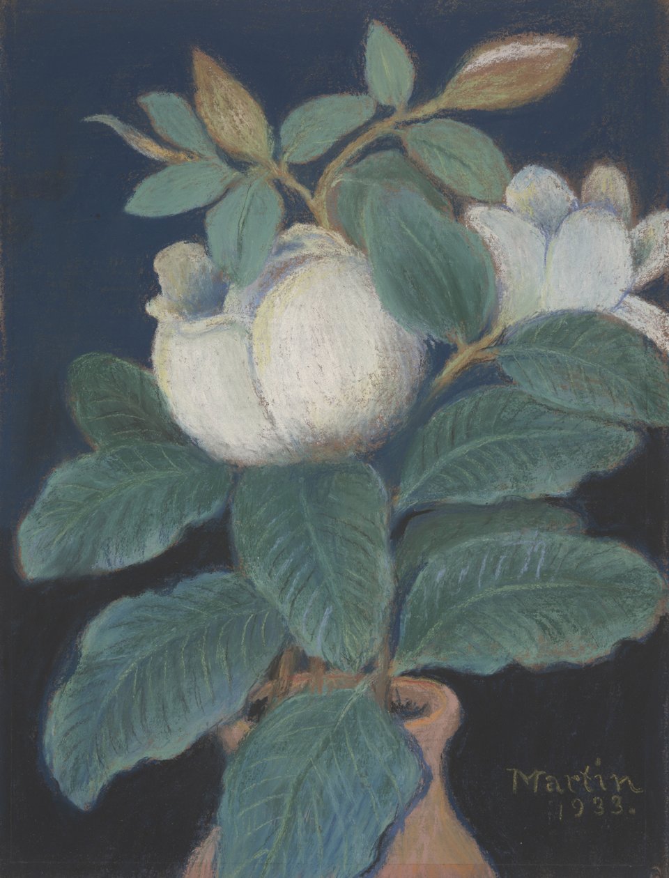 Magnolia Bloesems, 1933 door John Breckinridge Martin