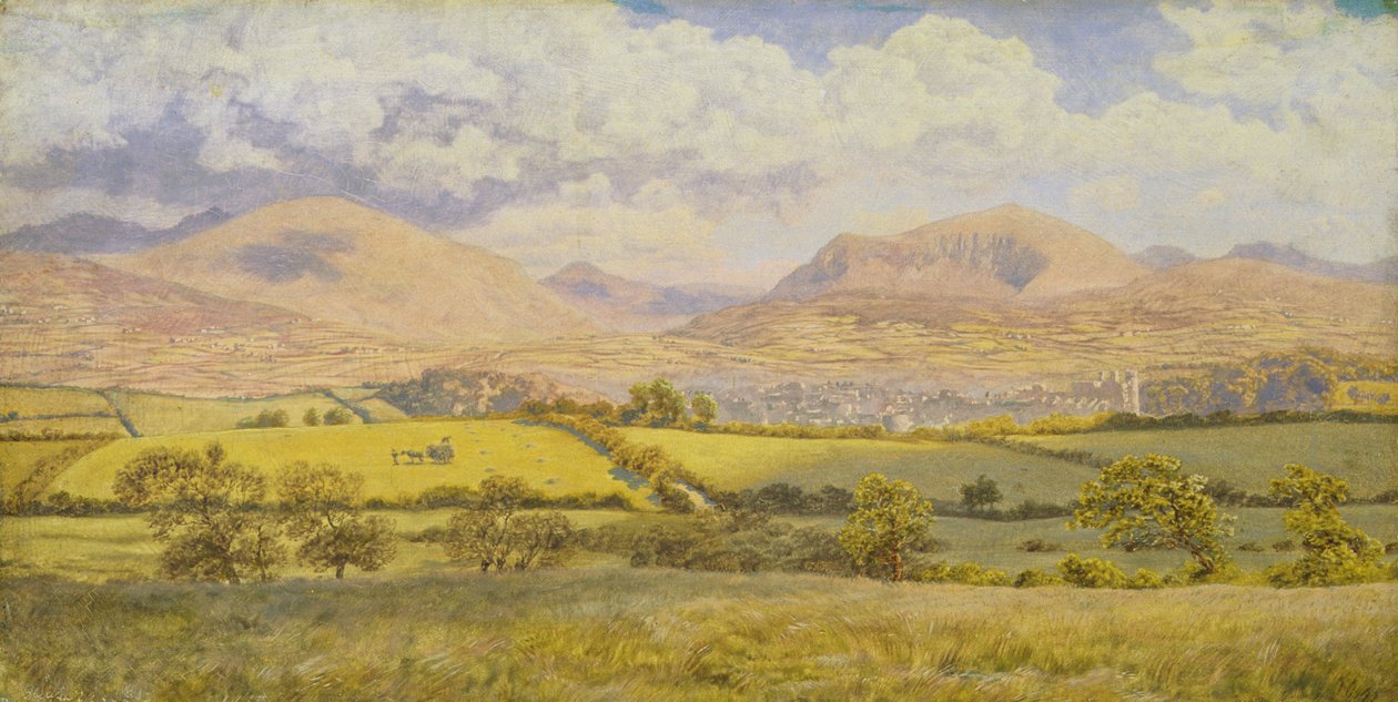 Caernarvon door John Brett