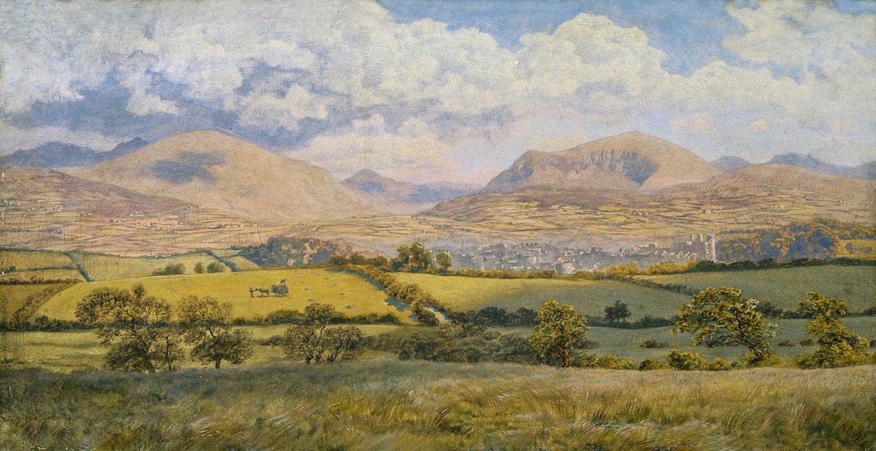 Caernarvon door John Brett