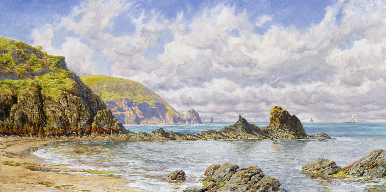 Bos Inham, Cardigan Bay door John Brett