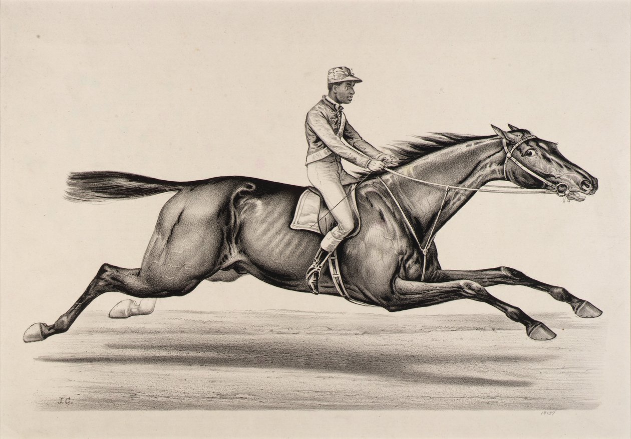 Keizer van Norfolk door John Cameron