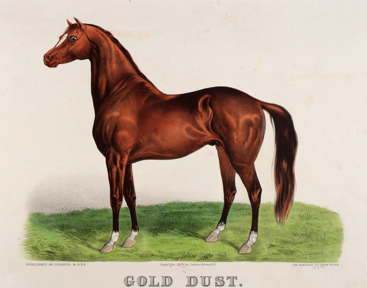 Goudstof door John Cameron