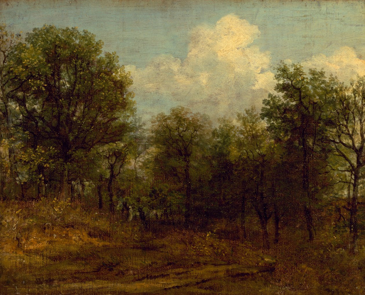 Een bos (olieverfschilderij) door John Constable