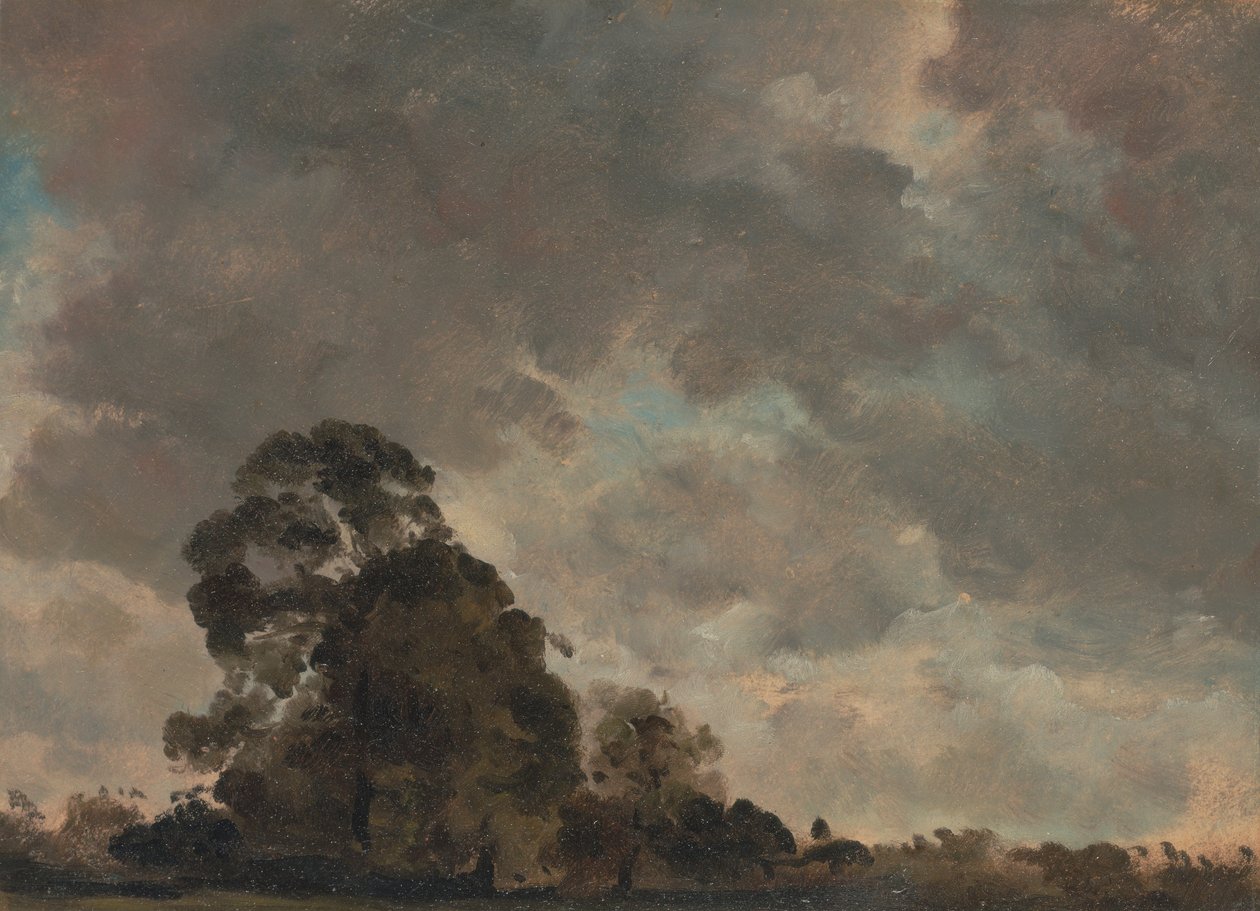 Studie van de wolk door John Constable