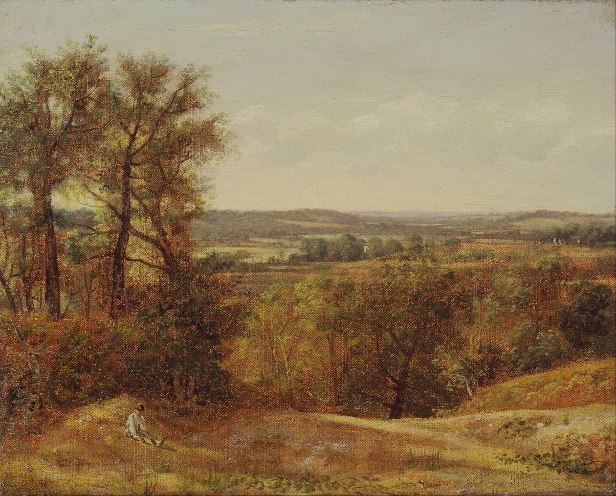 Dedham Vale door John Constable