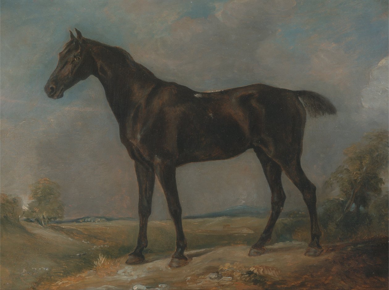 Het zwarte rijpaard van Golding Constable door John Constable