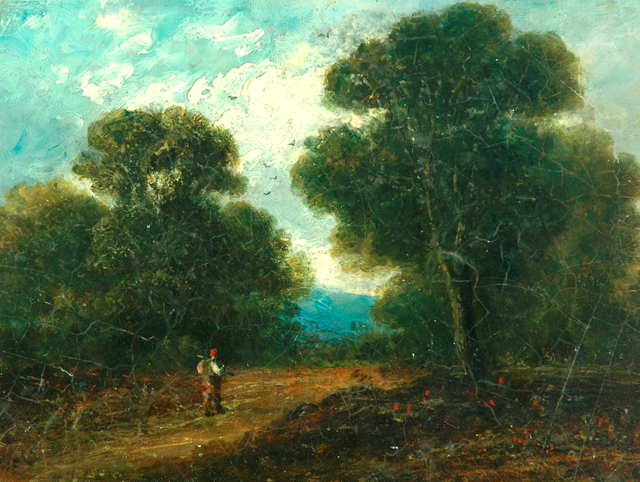 Landschap bij Norwich door John Constable