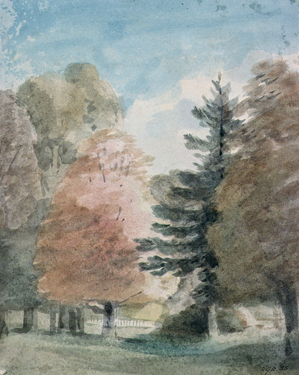 Studie van bomen in een park door John Constable