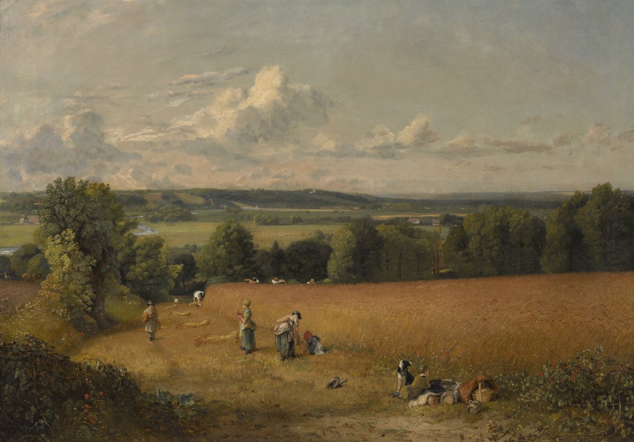 Het Korenveld door John Constable