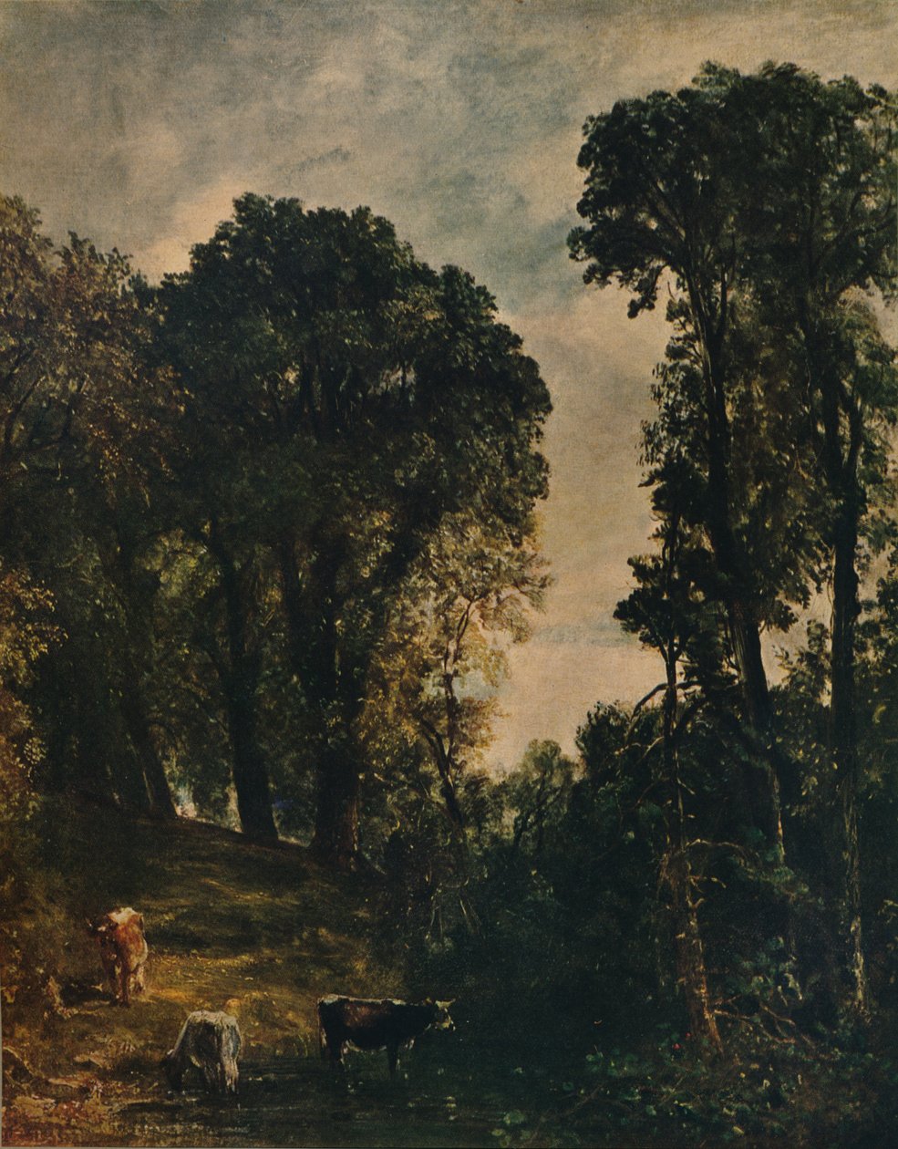 Bomen bij Hampstead Church, 1829, c1915 door John Constable