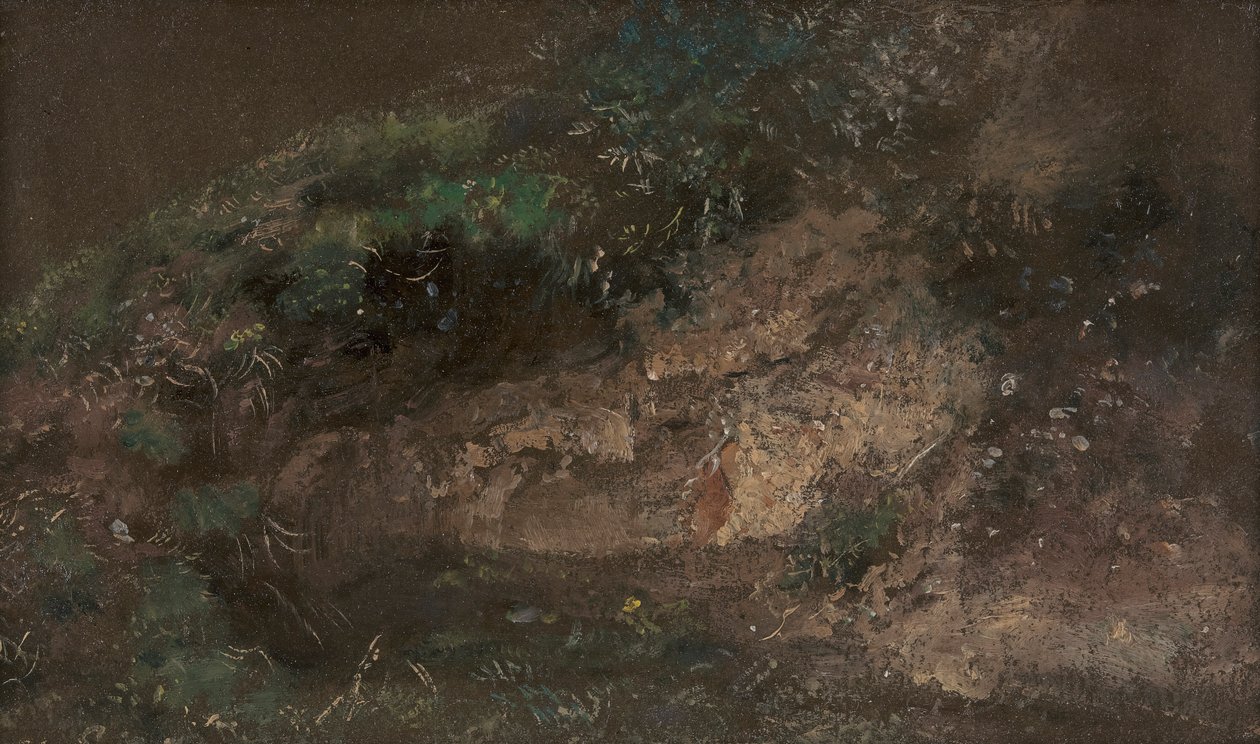 Onderbegroeiing door John Constable