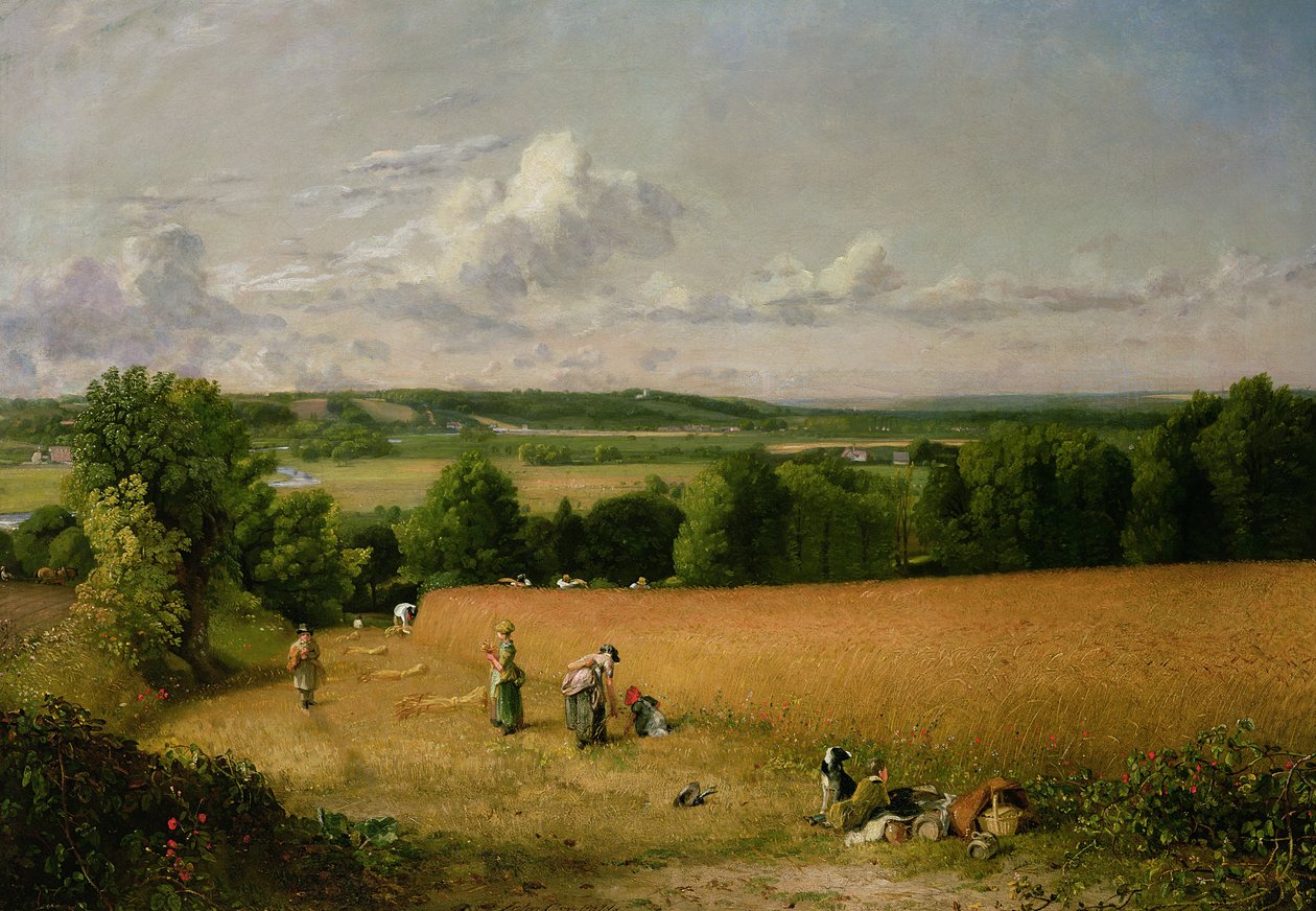 Tarweveld door John Constable