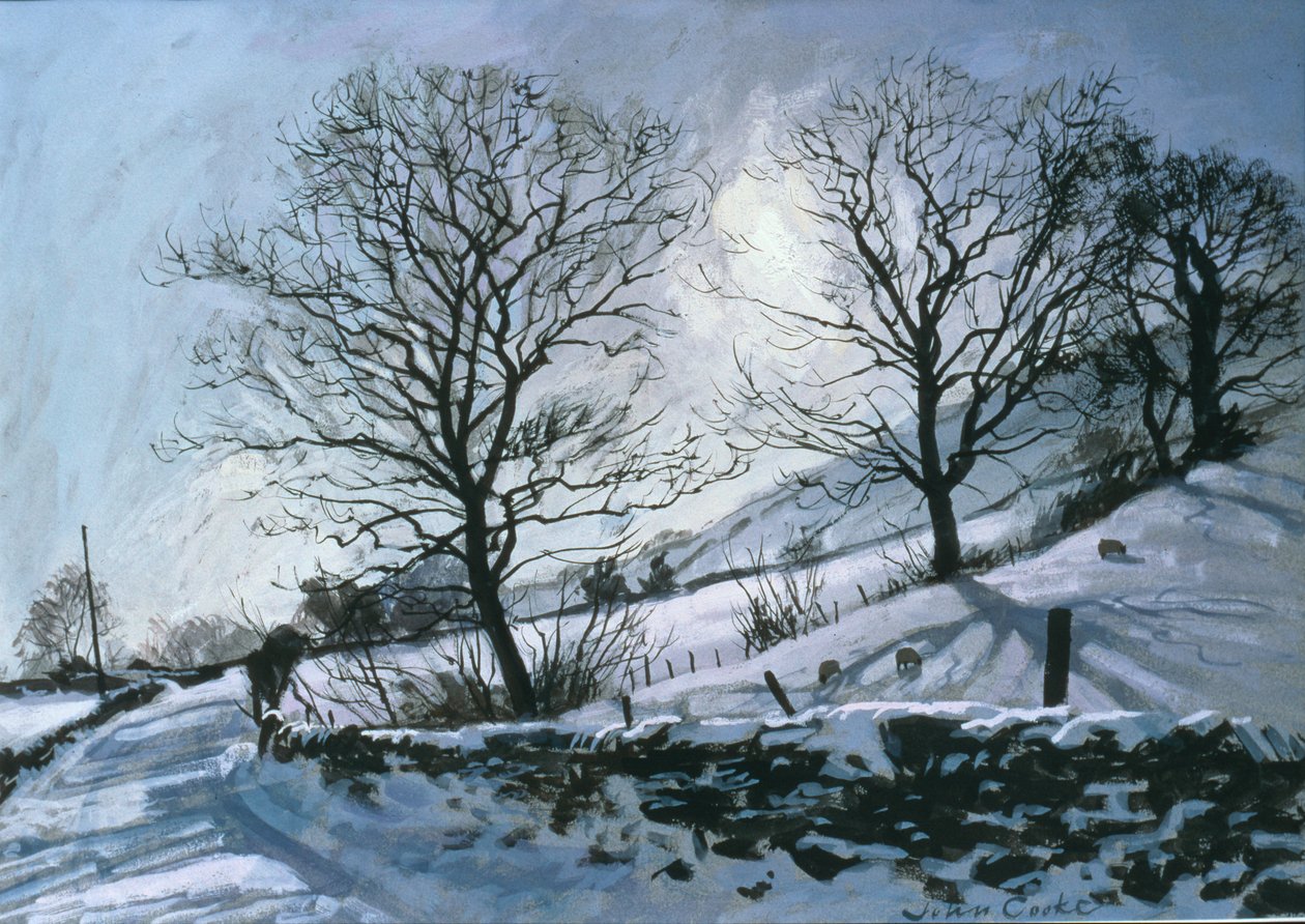 Wintermiddag in Dentdale door John Cooke
