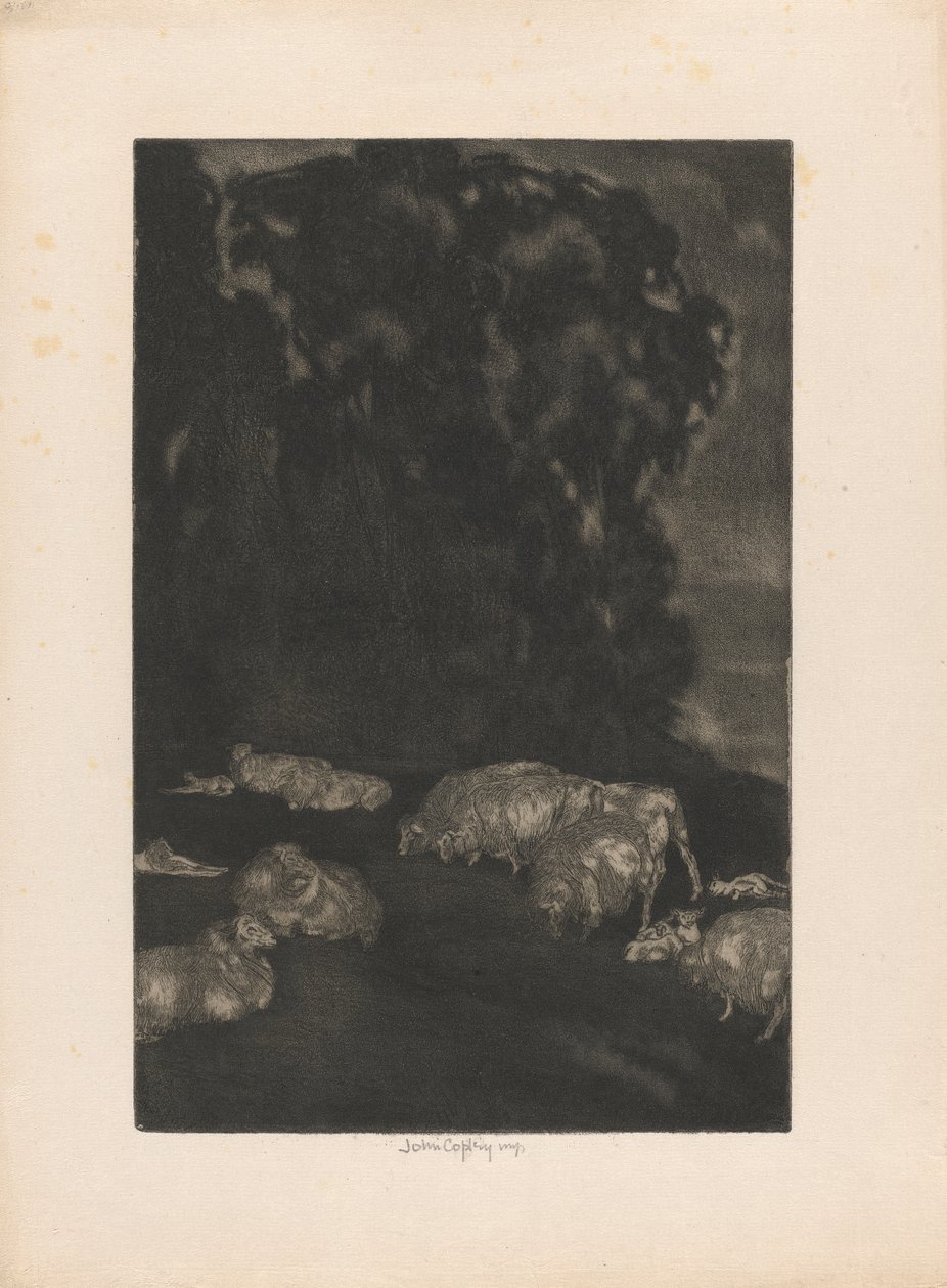 Schapen in de schemering door John Copley