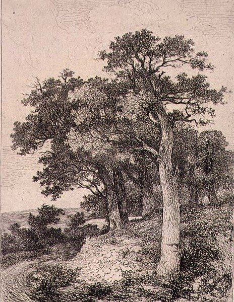 Bij Colney, uitgegeven door J. & W. Freeman door John Crome