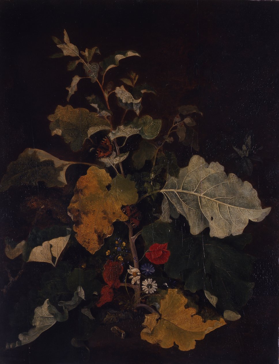 Studie van een Klit door John Crome