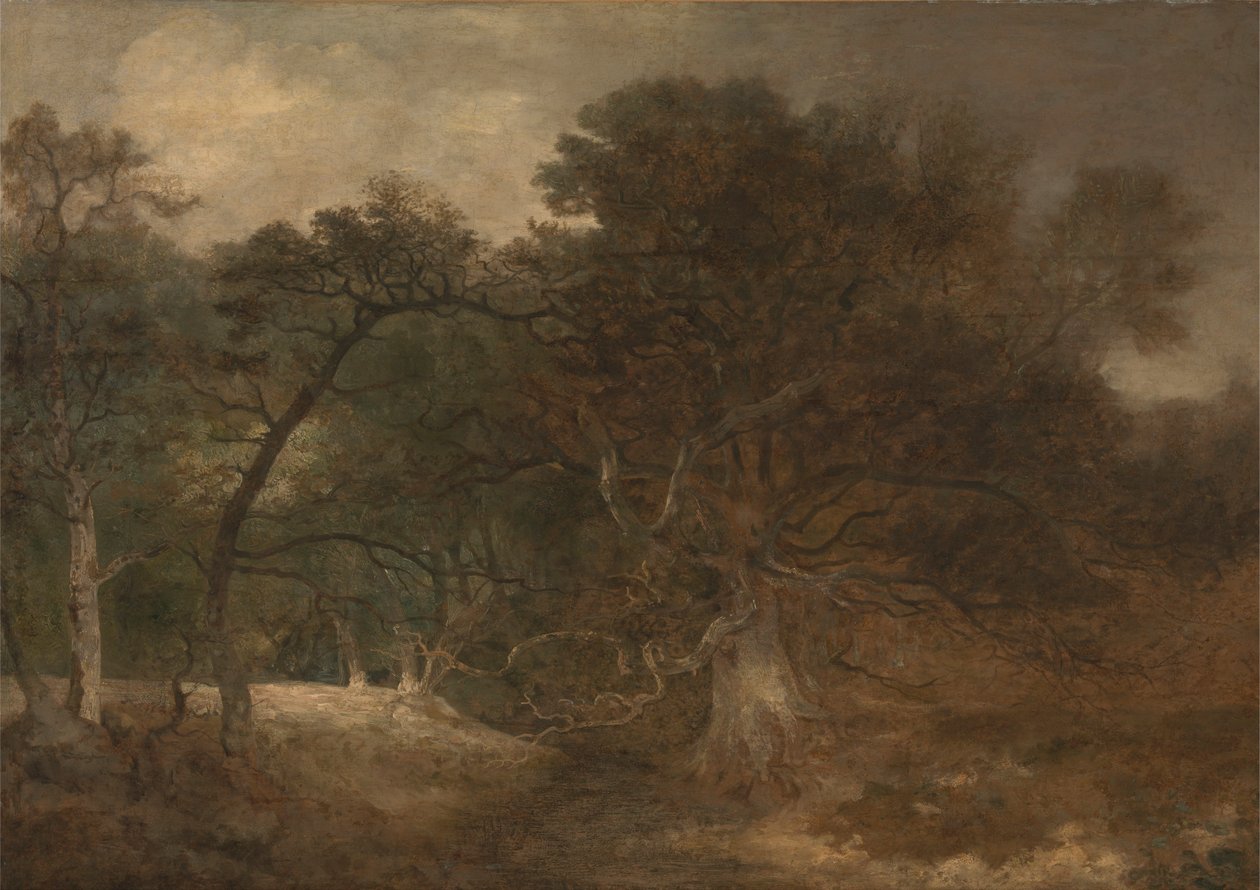 Boslandschap nabij Norwich door John Crome