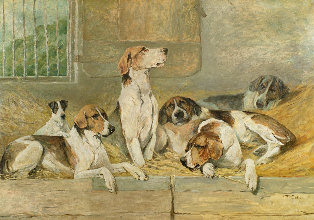 Honden door John Emms