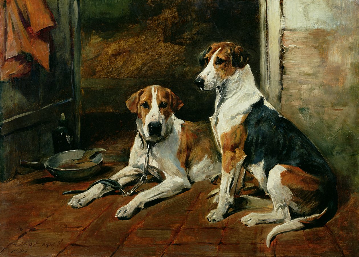 Honden in een stalinterieur door John Emms
