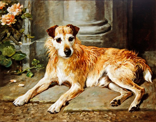 Scherp door John Emms