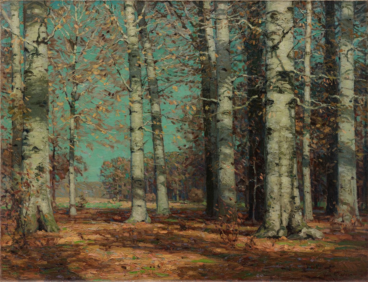 Herfstbeuken door John F. Carlson