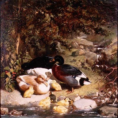 Eenden en Eendjes door John Frederick Herring Senior