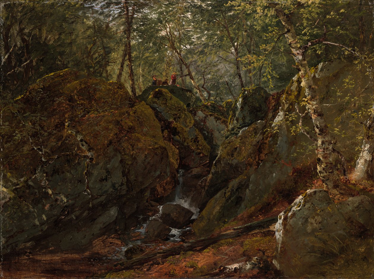 Catskill Waterval door John Frederick Kensett