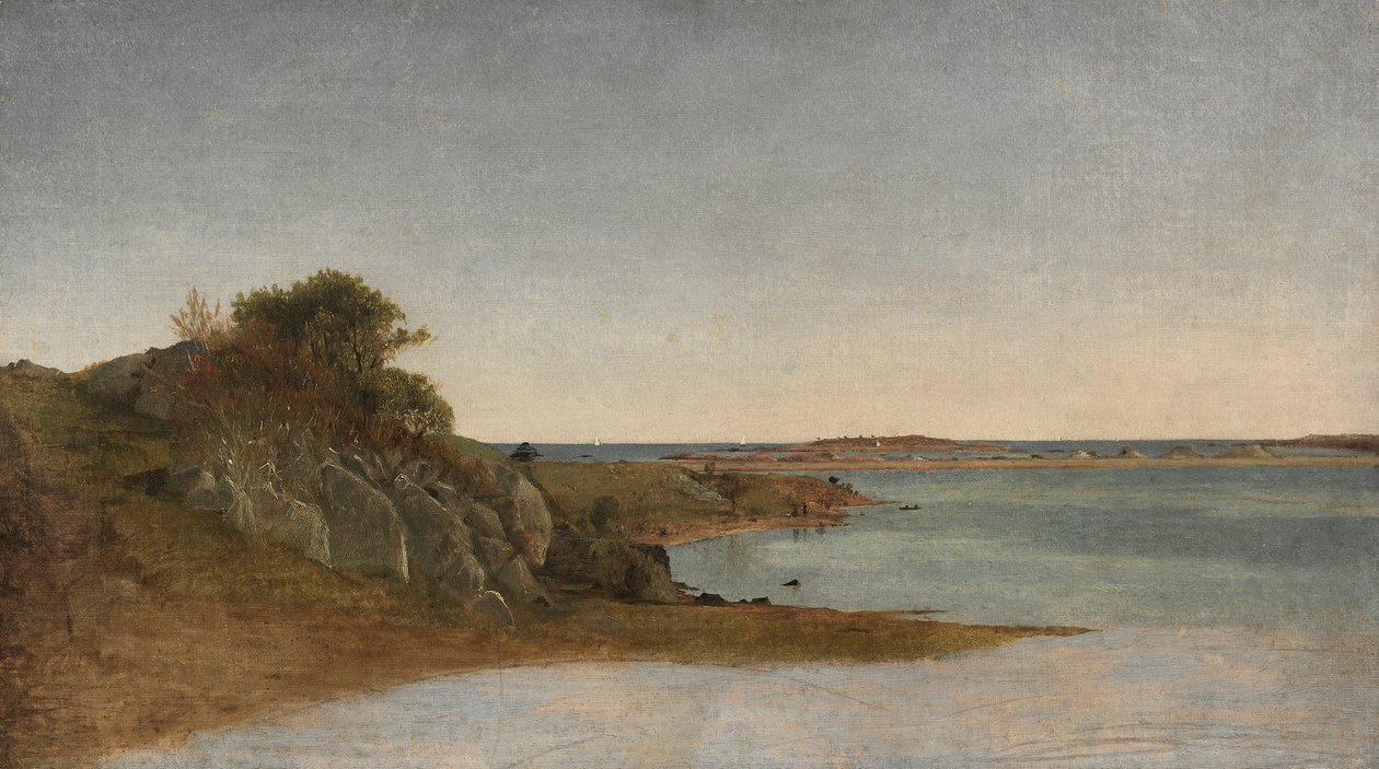 Uitzicht nabij Newport door John Frederick Kensett