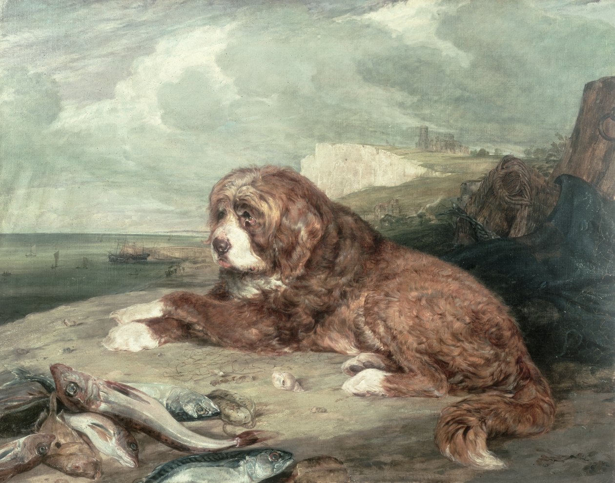 Een Oude Newfoundland Hond door John Frederick Lewis