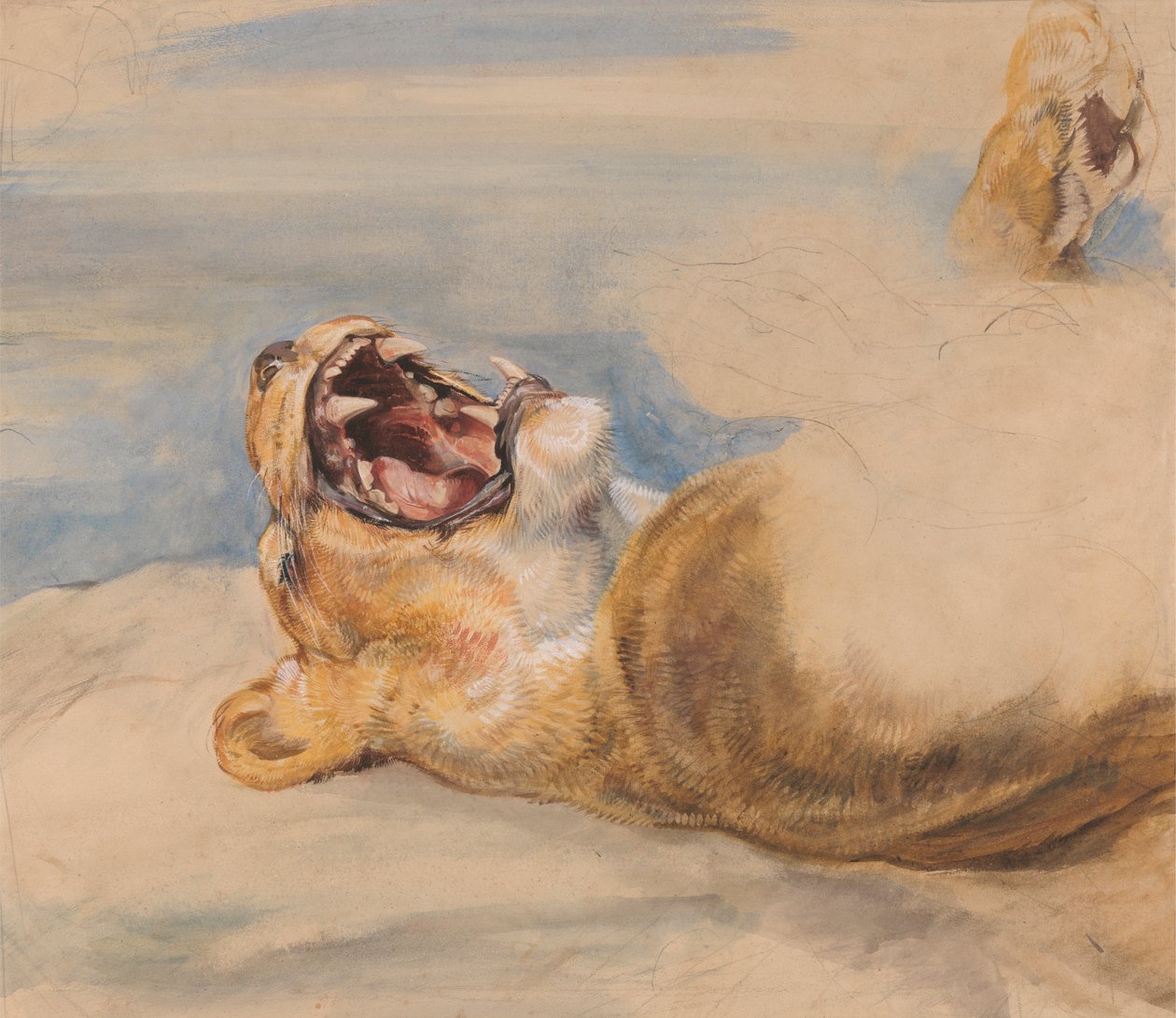 Studie van een leeuwin door John Frederick Lewis
