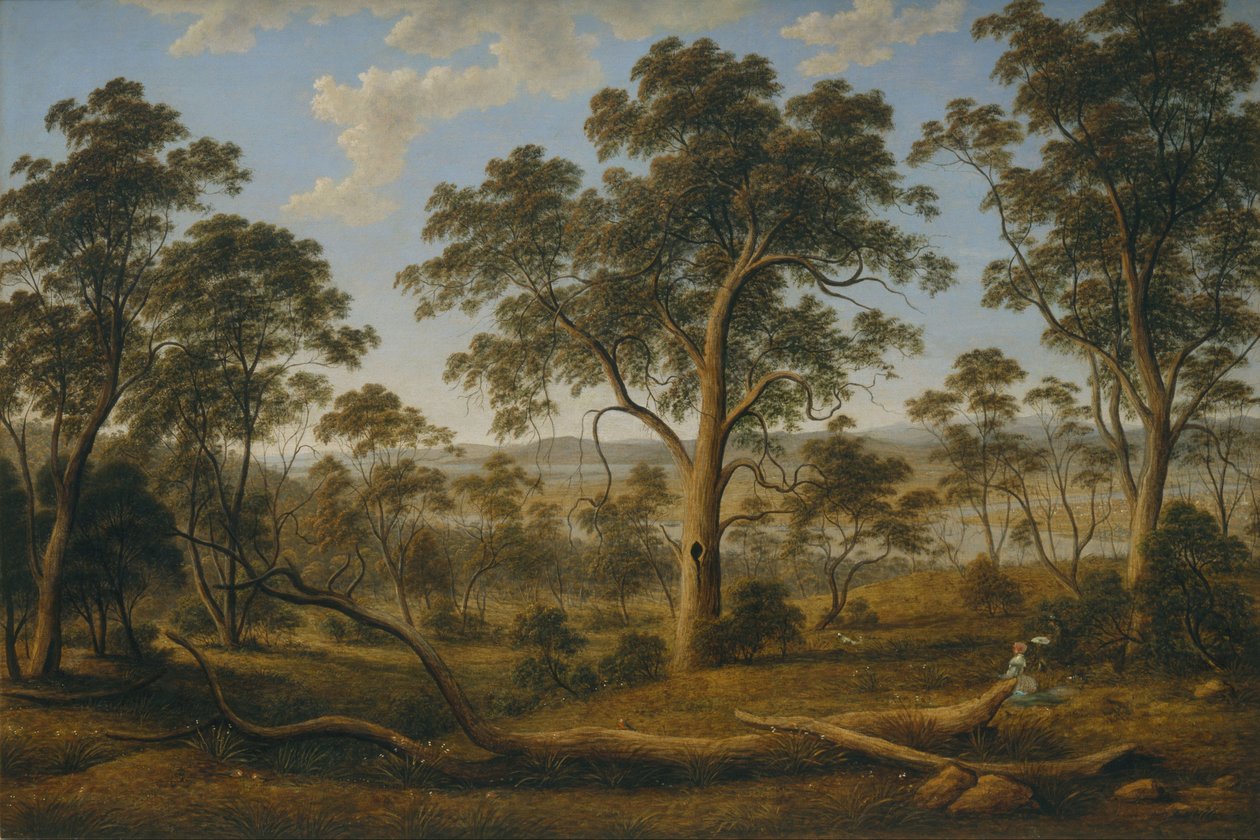 Launceston en de rivier de Tamar door John Glover