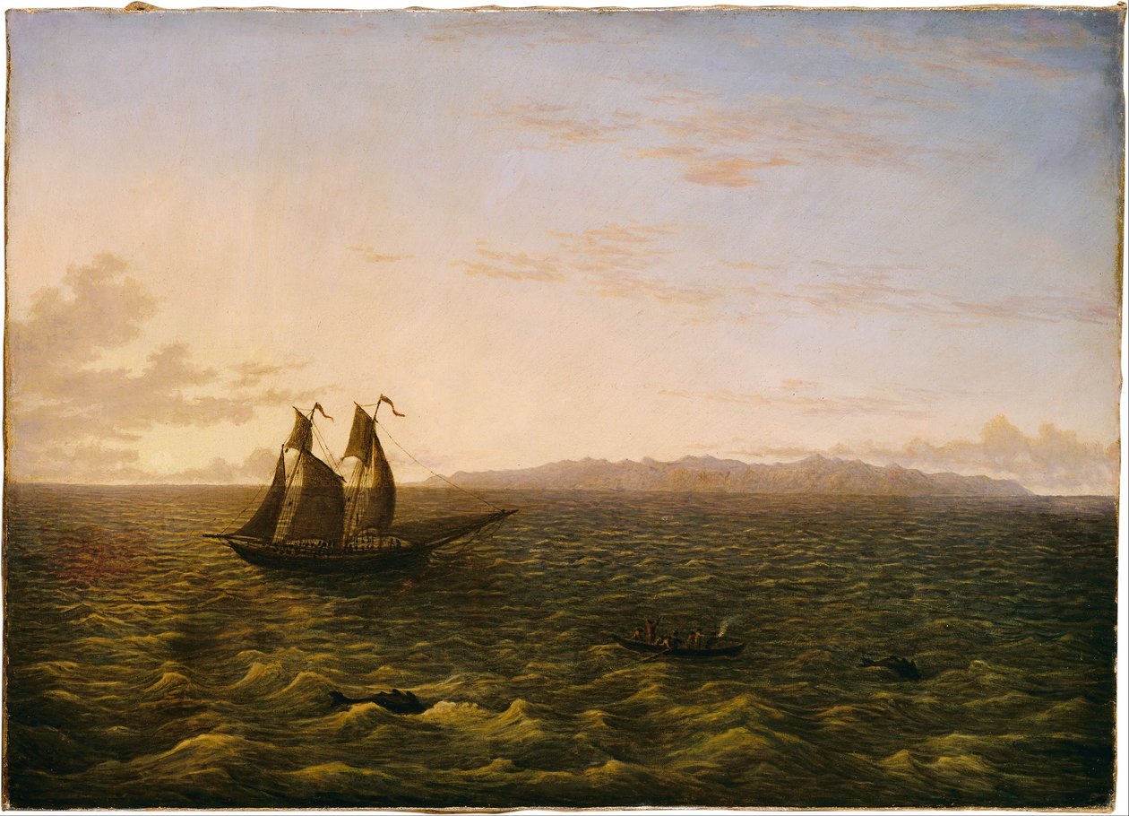 Het eiland Madeira door John Glover