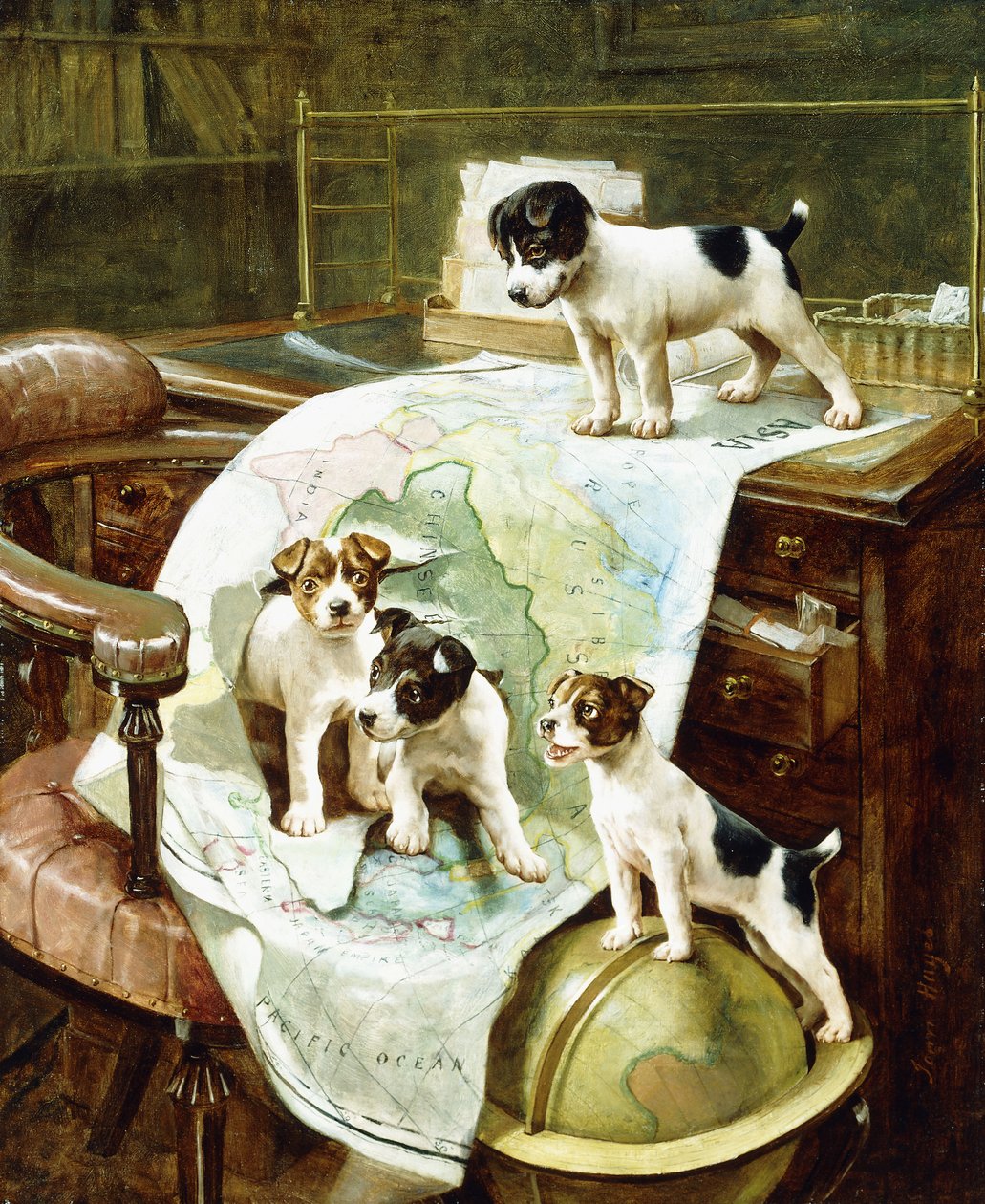Goed gereisde Jack Russell-puppy