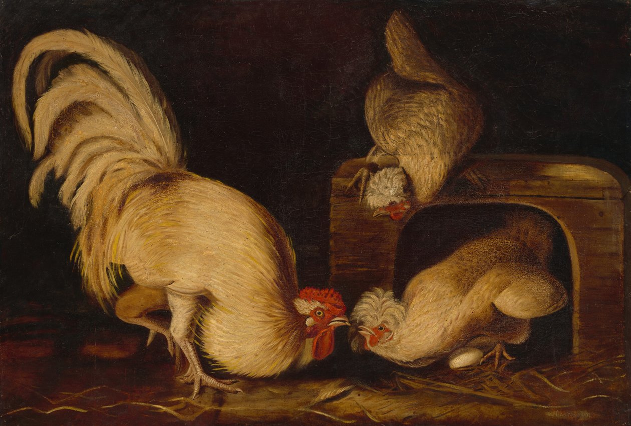 Boerderijkippen door John James Audubon