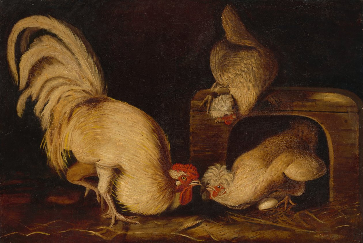 Boerderijkippen, ca. 1827 door John James Audubon
