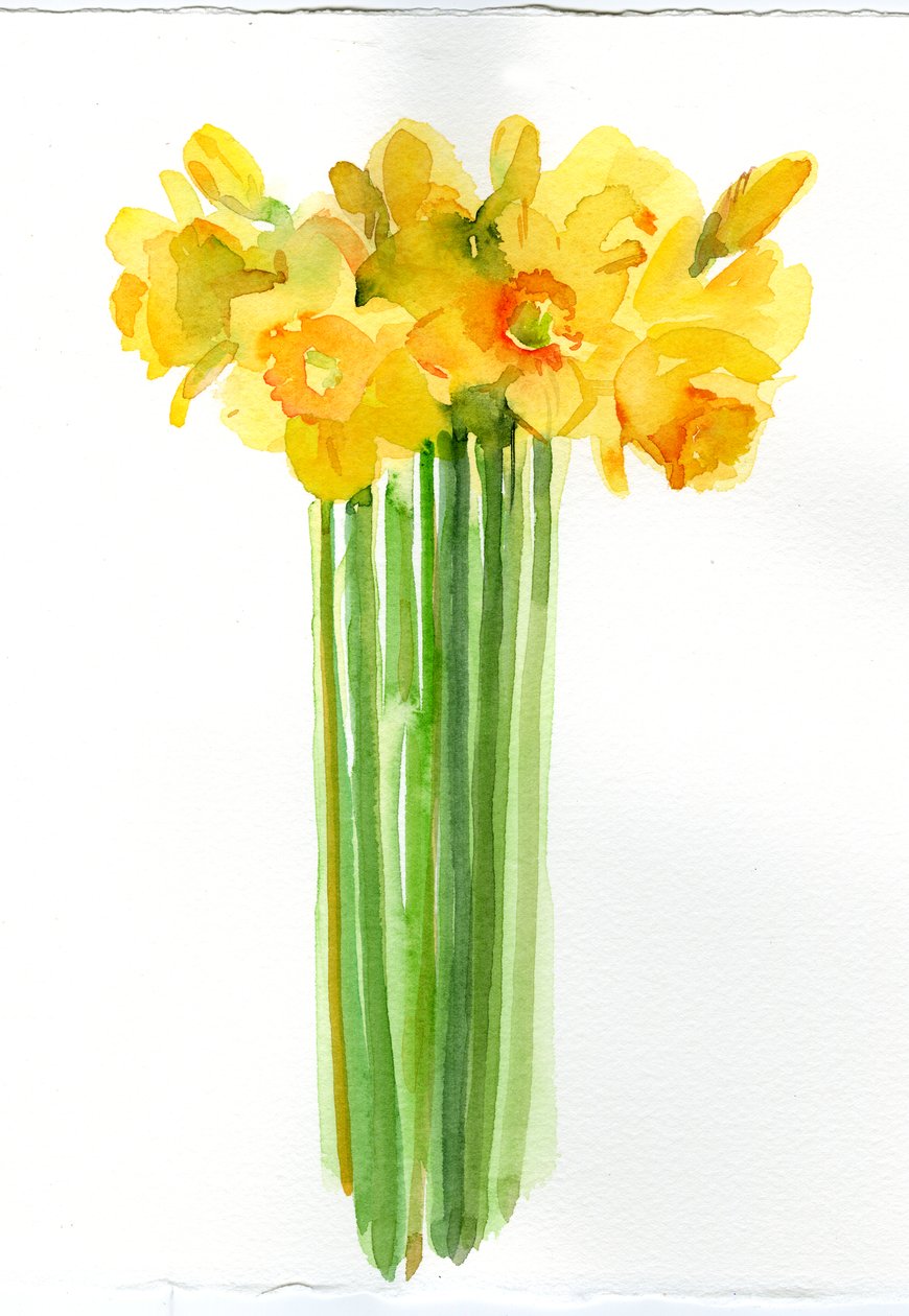 Narcissenbos, 2014 door John Keeling