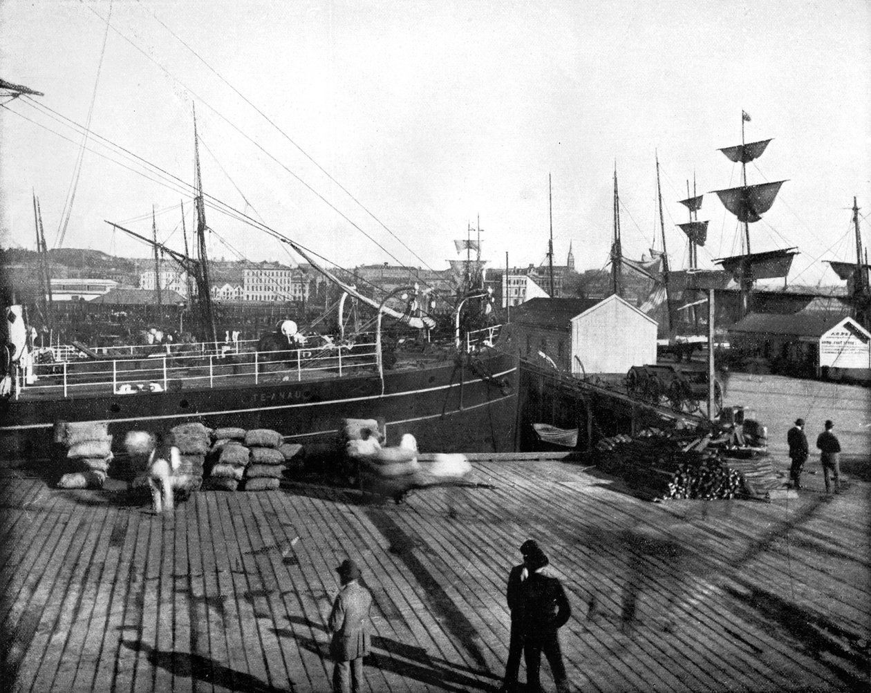 Haven van Auckland, Nieuw-Zeeland door John L. Stoddard