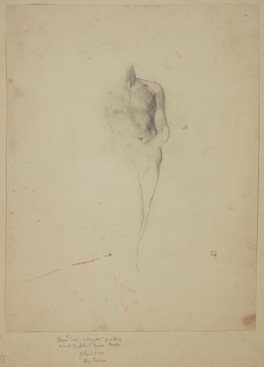 Cupido; Studie naar door John La Farge