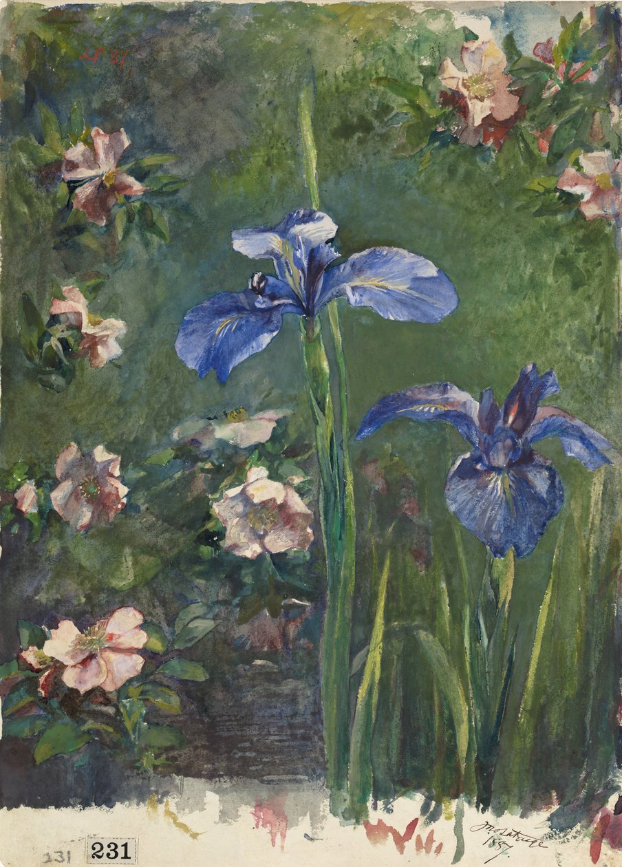 Wilde rozen en irissen door John La Farge
