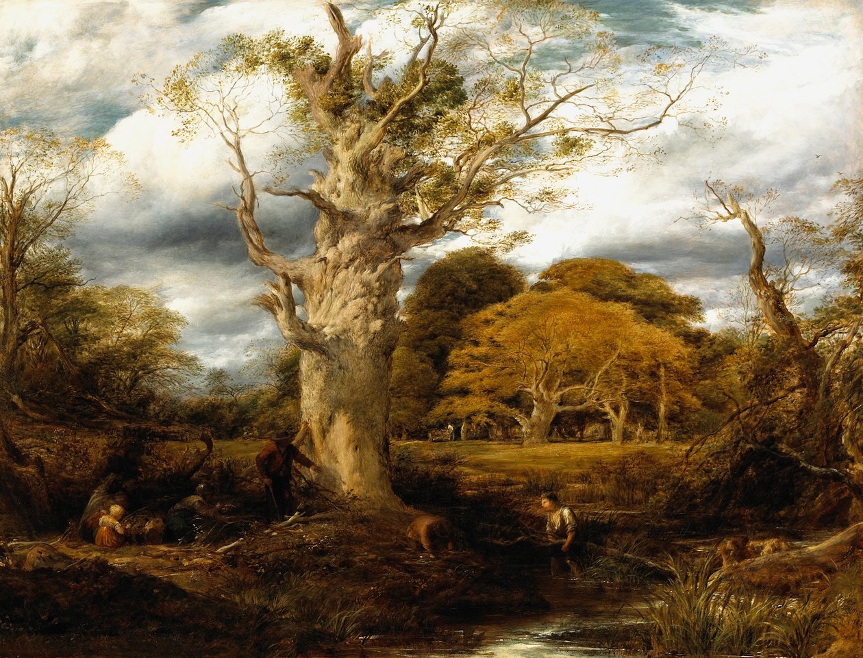 Een bos tafereel, 1844 door John Linnell