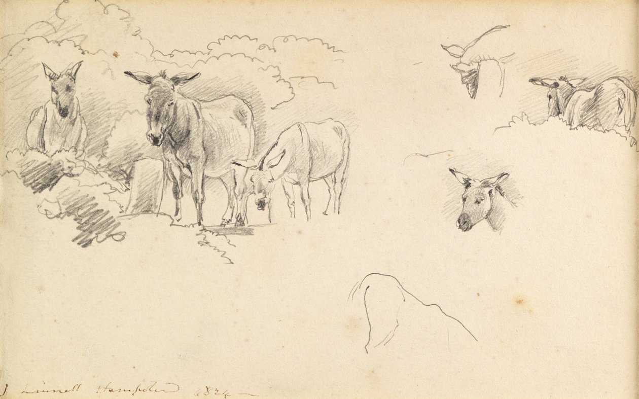 Ezel, 1824 door John Linnell