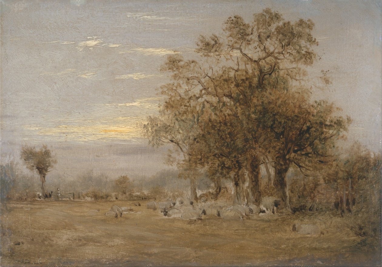 Sheep Grazing door John Linnell