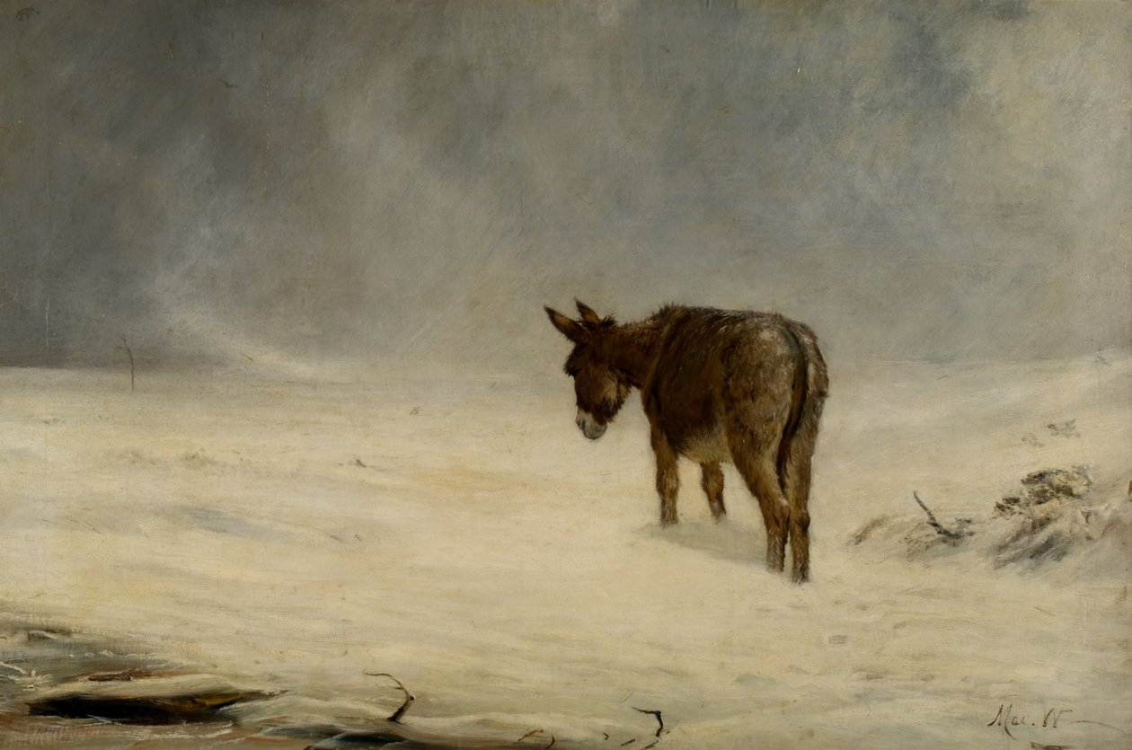 Een Ezel in de Sneeuw door John MacWhirter