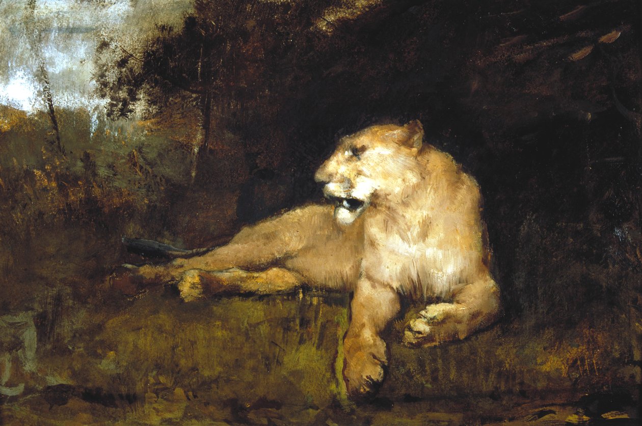 Een Leeuwin door John Macallan Swan