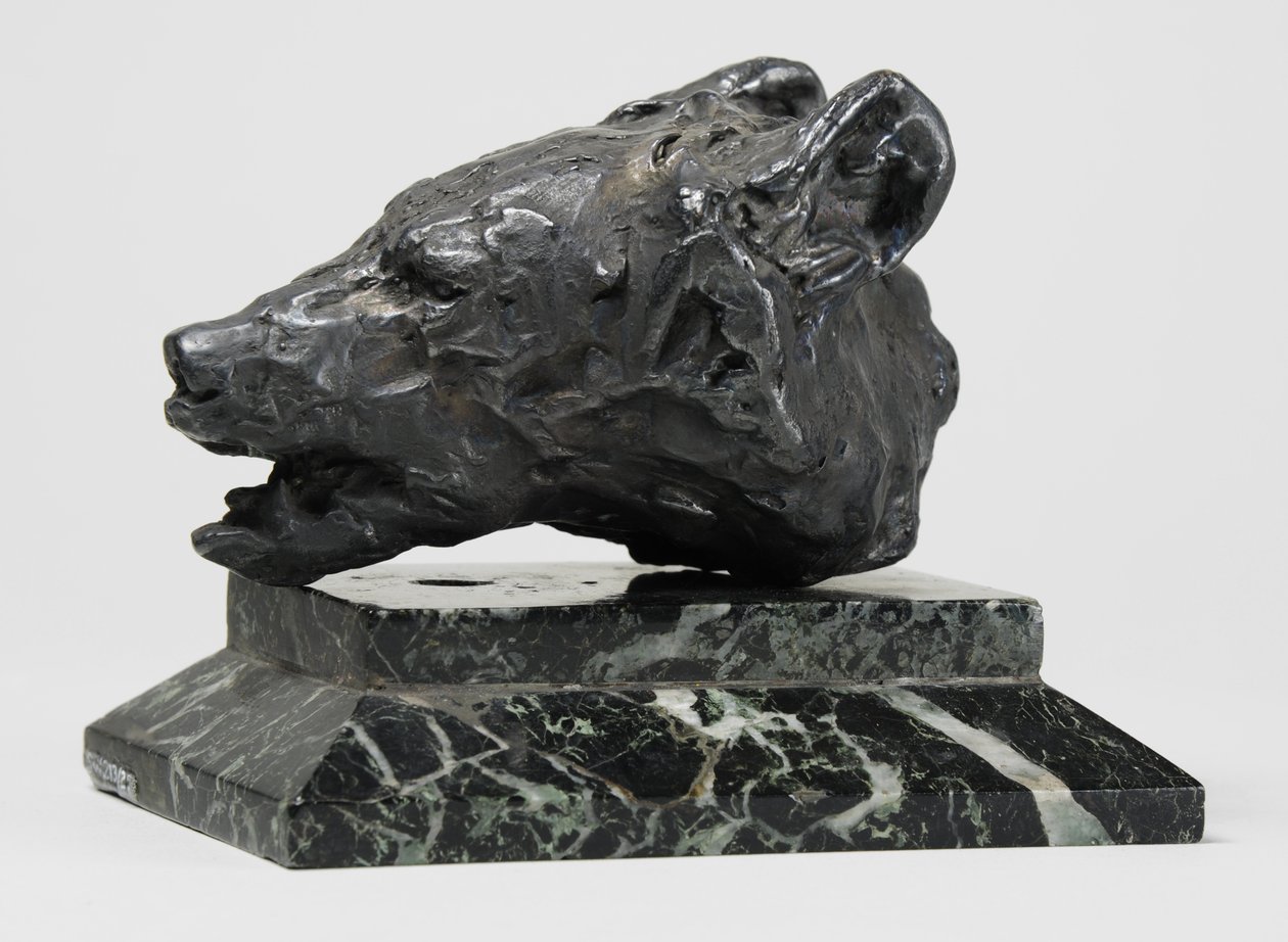 Berenkop door John Macallan Swan