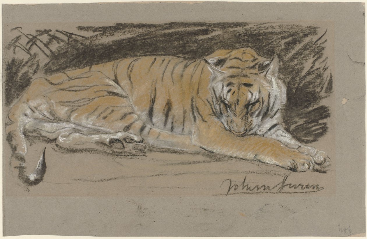 Tijgerin door John Macallan Swan