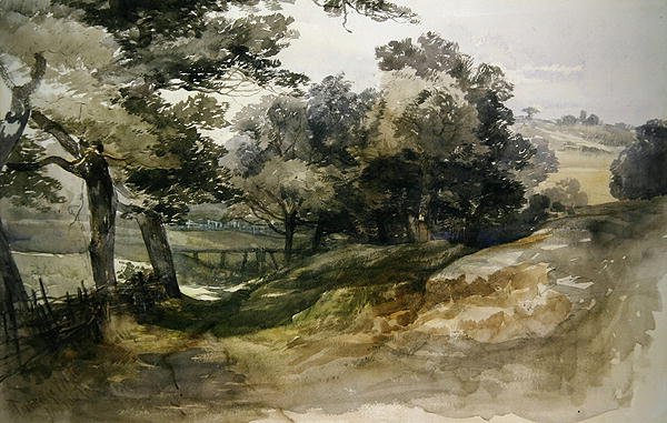 Een schaduwrijk laantje, Tunbridge Wells door John Middleton